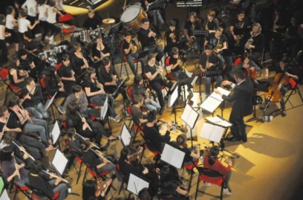 Licitaţie pentru înfiinţarea primei Şcoli de Muzică Veche din România